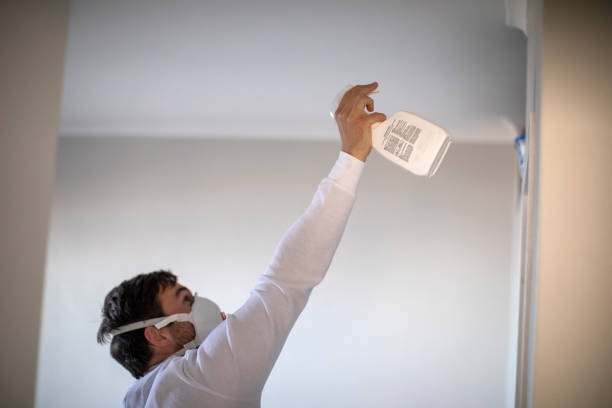 Best Mold Remediation for Specific Building Types in Atlanta, TX