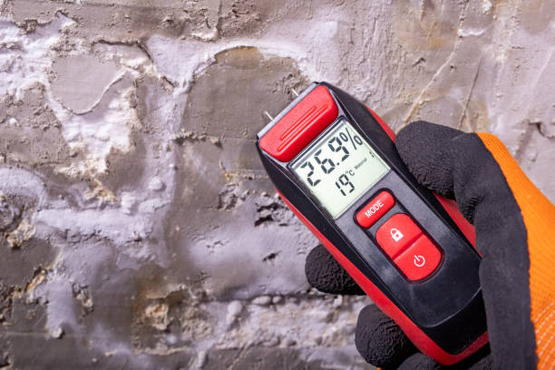 Atlanta, TX Mold Remediation Company
