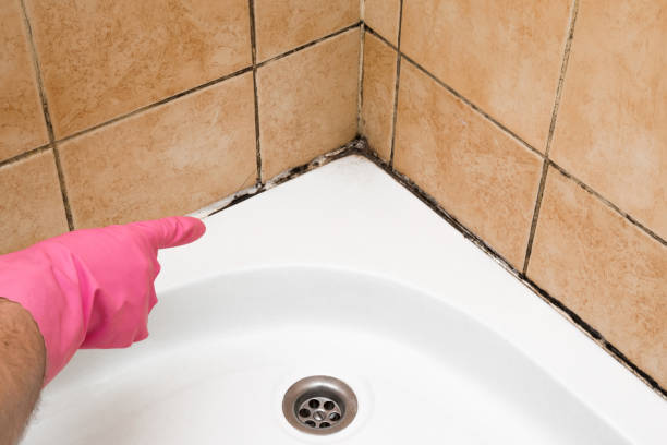 Best Bathroom Mold Remediation in Atlanta, TX